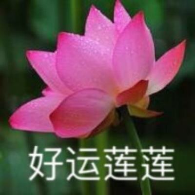 “福嫂”进京充实春节家政市场